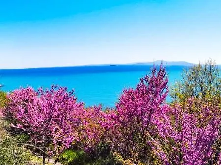 Apartment Luxury Alix Burgas City
