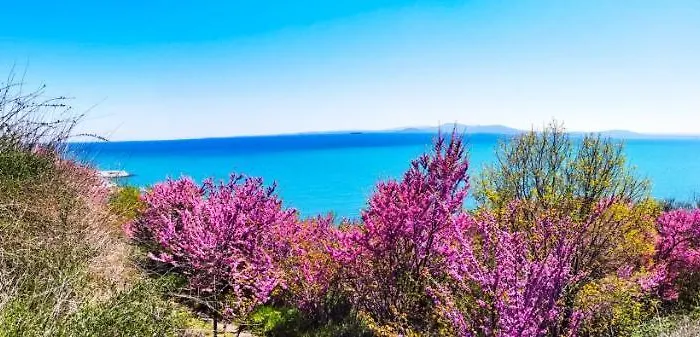 Appartement Luxury Alix Burgas