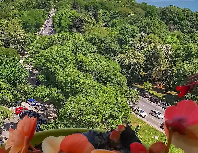 Luxury Alix Appartement *